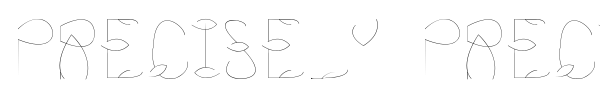 Precisely Precise font preview